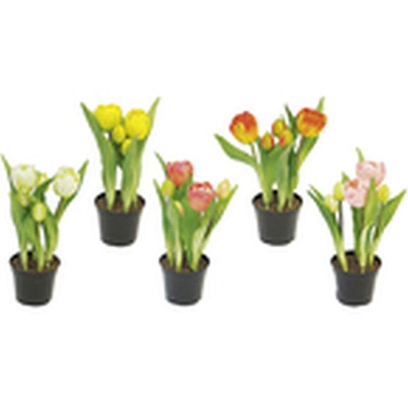 tulpe-im-topf-farbig-sortiert-24cm.jpg